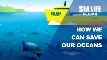 Sea Life Rescue - How we can save our oceans - rejuvenating wild fish stocks!