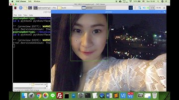 Raspberry pi OpenVINO Face Detection Demo