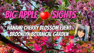 Annual Hanami Cherry Blossom Event - Brooklyn Botanical Garden
