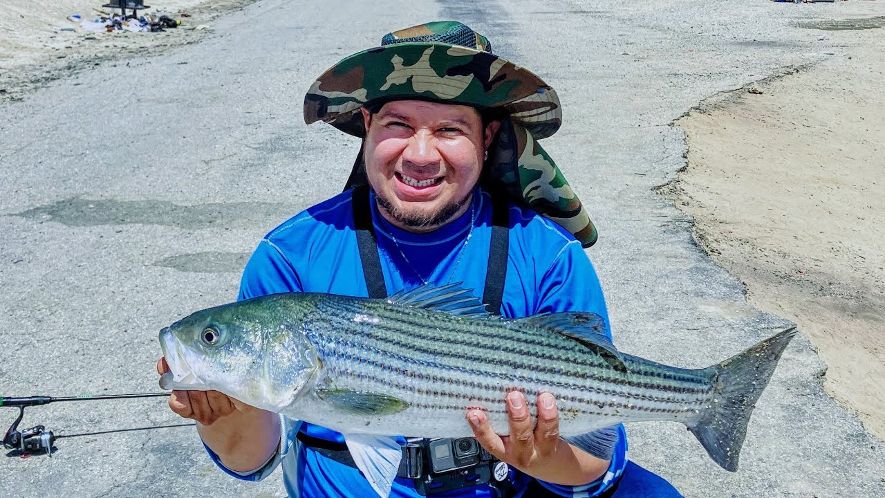 TUPMAN IS ON FIRE 🔥STRIPER BASS OJO ES TOTALMENTE ABIERTO AL PÚBLICO