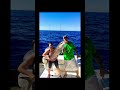 Reef Donkey Tavenier Wreck