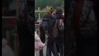 Ancient court intrigue drama Lin Lian gets beaten up Mrs Gorilla