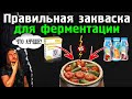 Закваска для домашней ферментации: как выбрать и сэкономить?