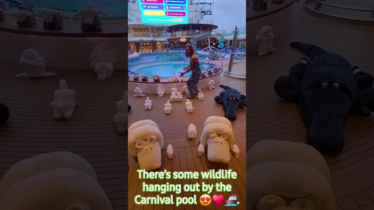 The real celebrities of Carnival Mardi Gras 🤩🛳🚢. #carnivalmardigras #towelanimal