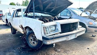 Junkyard finds! 1978 Buick Regal! 8/6/23