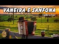 🎶É na Vaneira Gaúcha 🌄 Música Relaxante & Tradicional  | Instrumental
