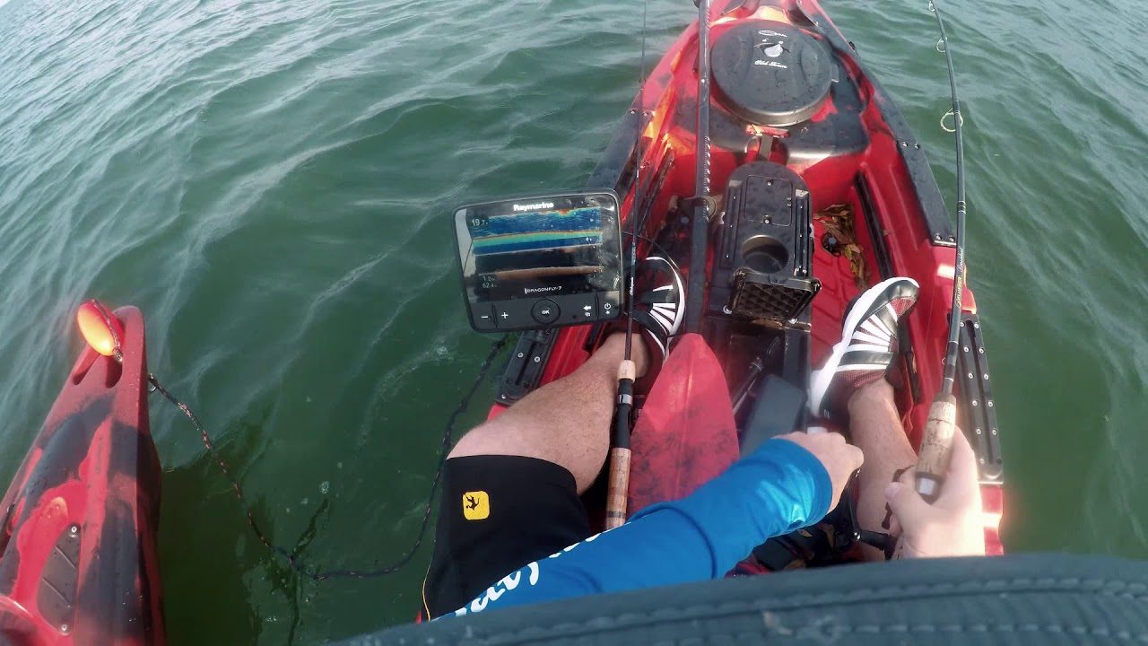 Fishing at Picnic Island Tampa bay Florida YouTube