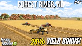 25% YIELD BONUS! SWATHING OVER 200 ACRES OF BARLEY! YEAR 5 HARVEST BEGINS! | Forest River ND | FS25 screenshot 5