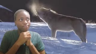 What's your Spirit Animal?