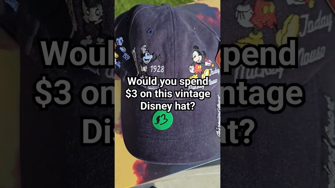 Would you pay $3 for this vintage Disney hat? 