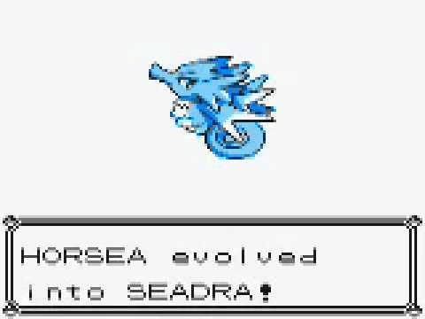 pokemon horsea evolves in pokemon yellow youtube horsea evolution chart