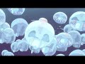 Sza Notice Me Slowed Reverb