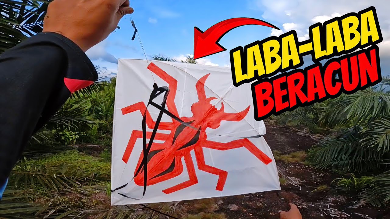 JARANG DITEMUKAN‼️ LAYANGAN INI HANYA MUNCUL 5 TAHUN SEKALI CS‼️