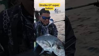 Download Lagu Moment of showing off Giant Travelly's straike #fishing #mancing #mancingmania MP3