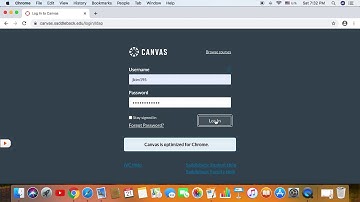 Saddleback Emeritus - Canvas