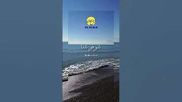 Jil Jilala Officiel شوفو شلا Reels Shorts Jil Jilala Song Music Musicvideo Artist Story 