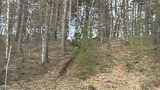 20120504プチヒル02