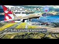  Boeing 787 Smooth Landing at Kathmandu Airport | Aerofly FS Global Flight Simulator  