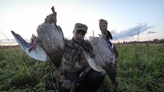 Duck hunting in the North. Russia.