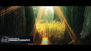 BMPC4K Jib Test Footage