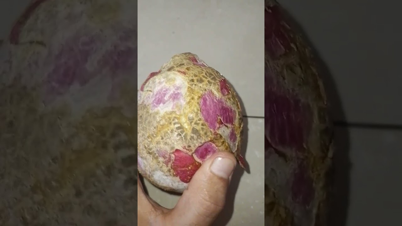 Guess? What is this egg??