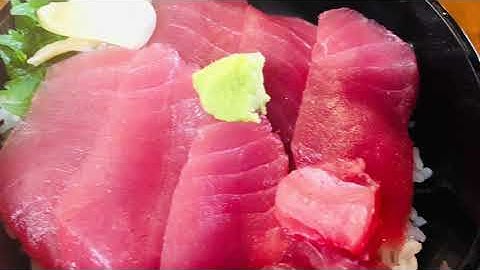 さくらツーリストｘ浅草鮪組21.7.24予告