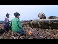 A Snake Attack On Village Boy  |Rajanimatations 