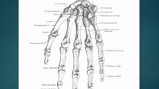 Eshak porno katta obektlar