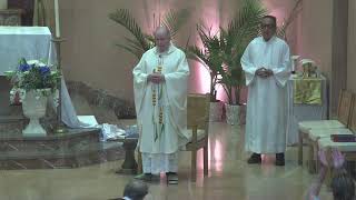 Seventh Sunday of Easter - Ascension