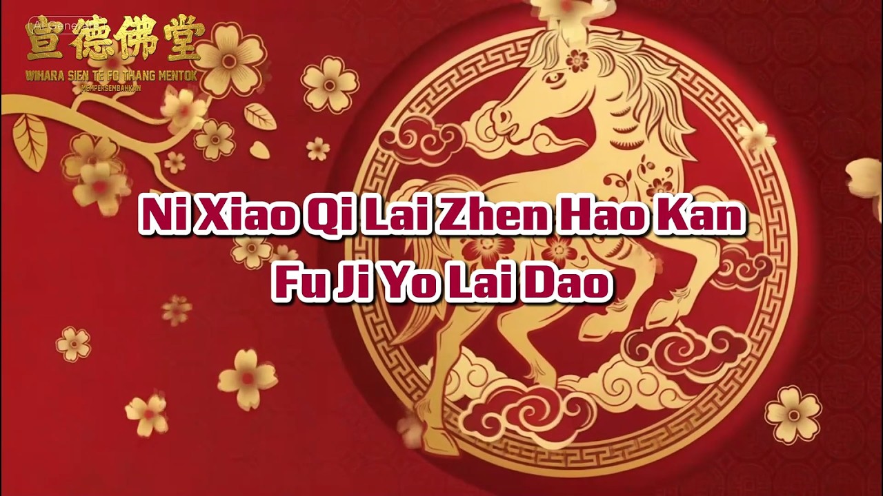 Ni xiau qi lai zhen hao gan