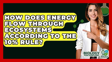 How Does Energy Flow Through Ecosystems According To The 10% Rule? - Biology For Everyone