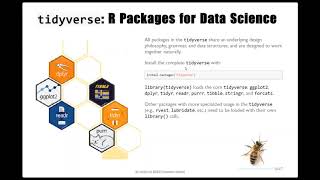Unit 6: Data Wrangling: Tidy Data, tidyverse, and tibble
