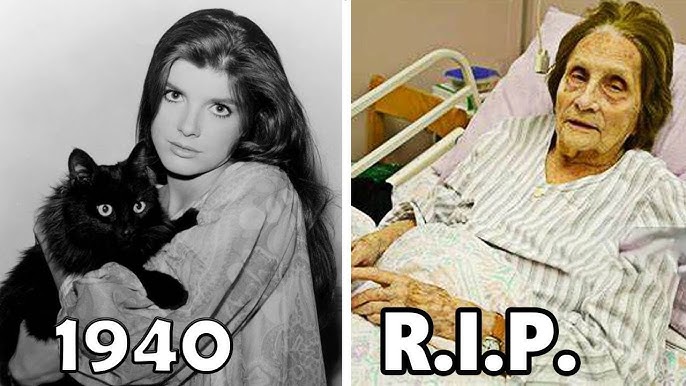 Sad News Katharine Ross Has Just Passed Away At The Hospital The Funeral Is Expected In 3 Days