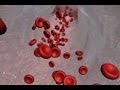 Animated introduction to cancer biology full documentary