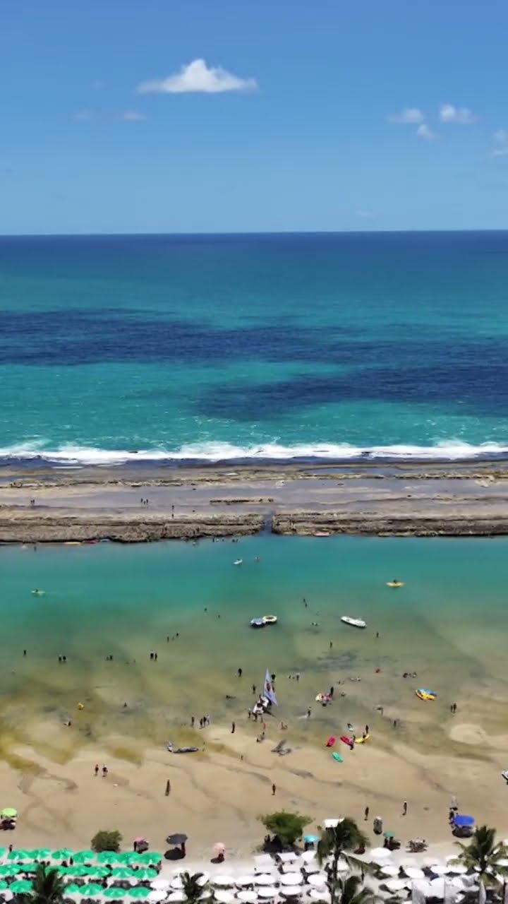 Piscinas Naturais de Porto de Galinhas #shorts