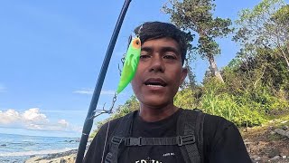 Master Ely Luminous tiger Green For Trevally?