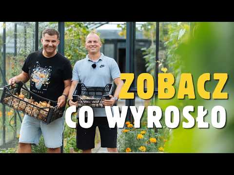 Dlaczego weryfikacja adresu w Gransino jest wymagana?