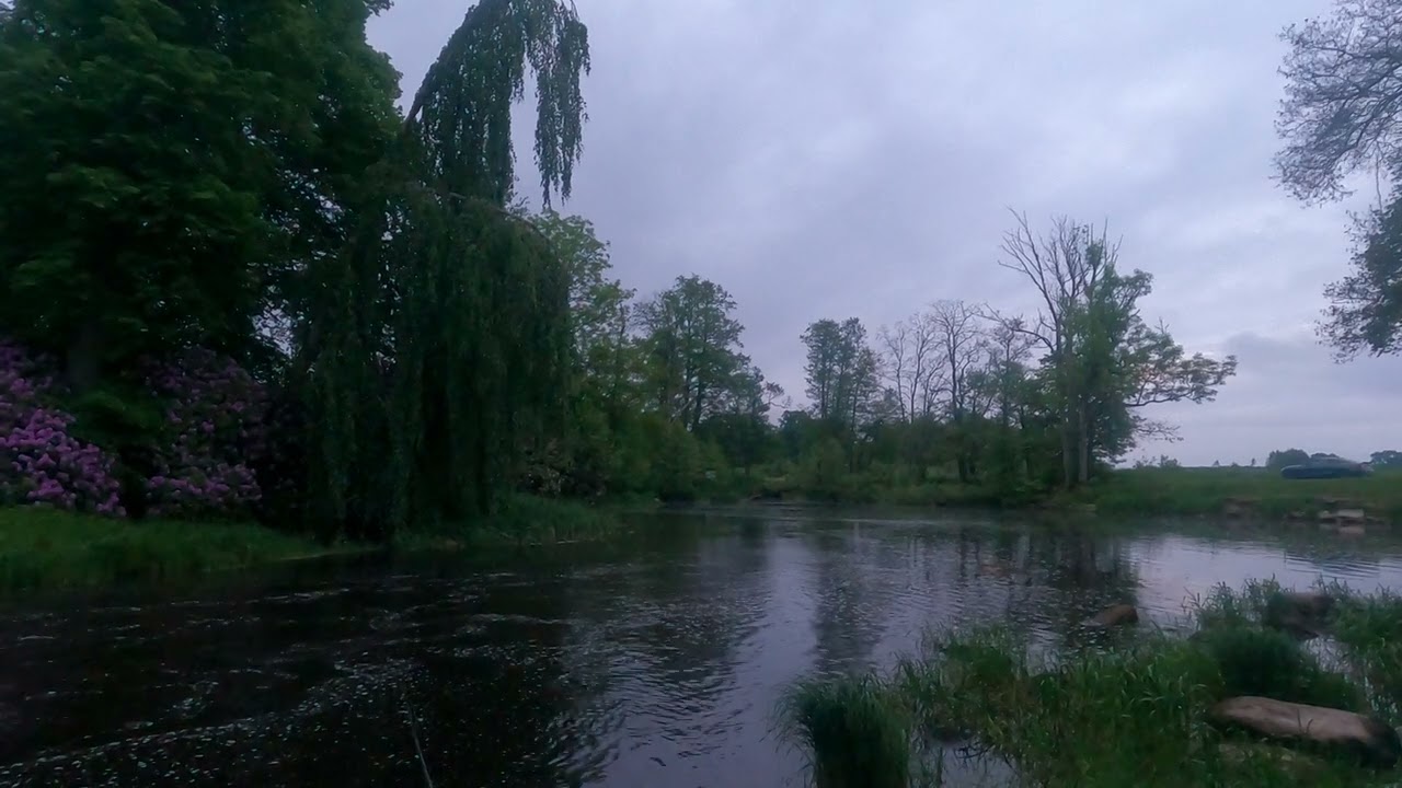 Udarac smuđa i kidanje