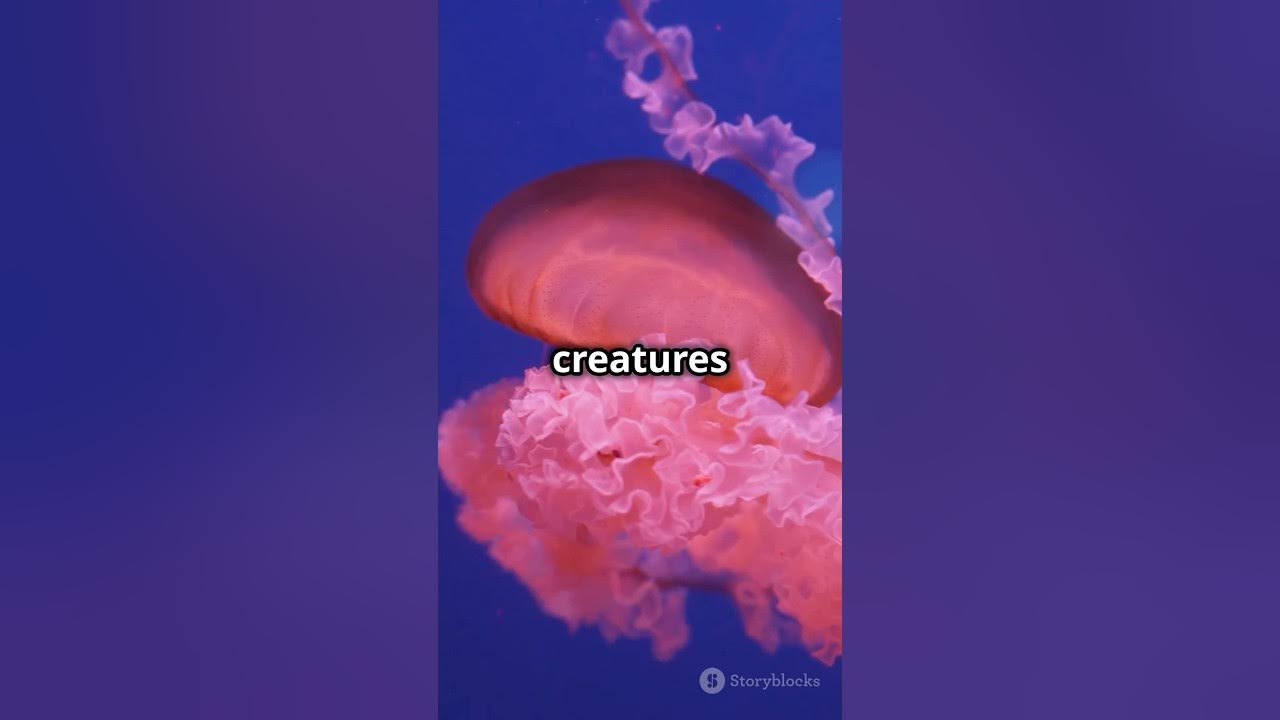 Can you believe jellyfish are 95 water? 💧 Which fact shocked you the