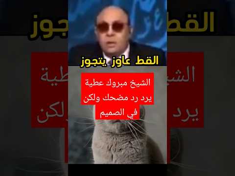 متصلة عاوزه تجوز القط فماذا قال الشيخ مبروك عطية رد مضحك لكن في الصميم معلومات دينية سؤال وجواب