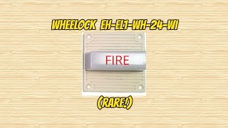 Celebrity Wheelock EH-EL1-WH-24-WI review (uncommon) Profile