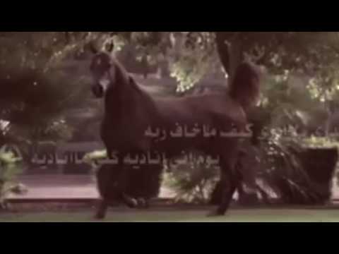 امحق غرام