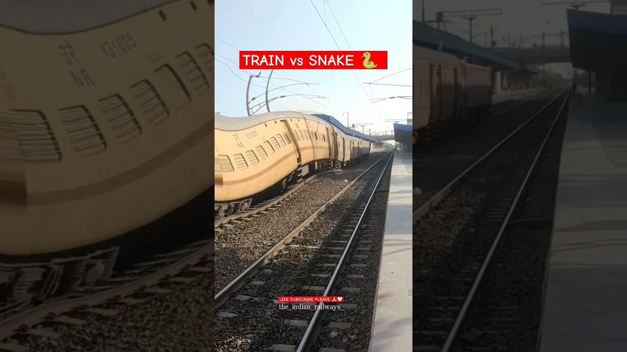 trains VS 🐍 snakes 😱🤯 subscribe and like and support me please 🙏🥺 