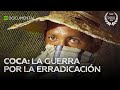Coca: La guerra por la erradicación - Documental de RT