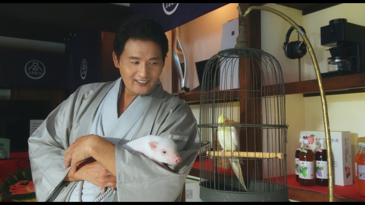 ふるなび新作tvcm ふるなび屋 インコvsブタ篇 Youtube ふるなび新作tvcm ふるなび屋 インコvsブタ篇 Youtube