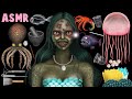 [ASMR | 스톱모션] How to transform a zombie mermaid into a human  | The Little Zombie Mermaid🧜‍♀️