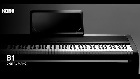 KORG - B1 - Digital Piano - Introduction