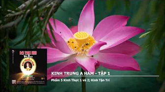 Tập 1 – Phẩm 5 K.Thực 1 và 2 – K.Tận Trí 