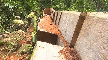 Bắc Cạn khó khăn trong công tác bảo vệ rừng ở Vườn Quốc gia Ba Bể