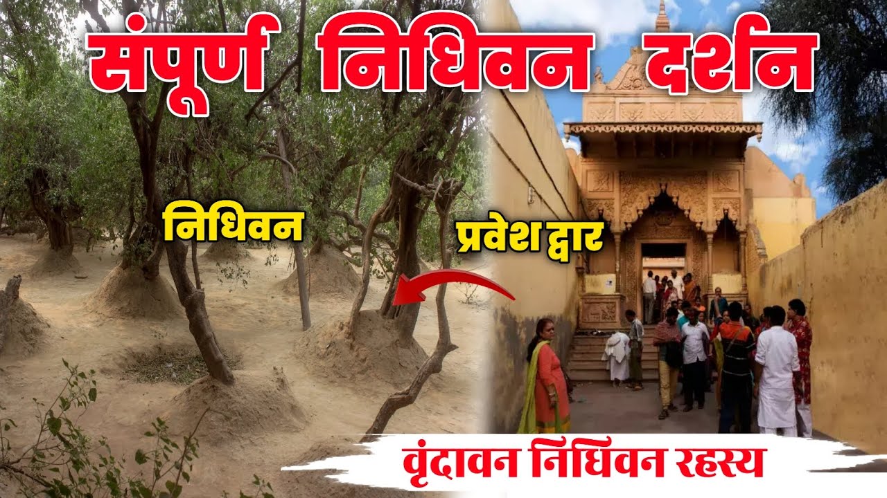 क्या है वृंदावन के निधिवन रहस्य?